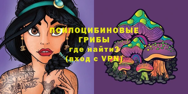 МДПВ Володарск